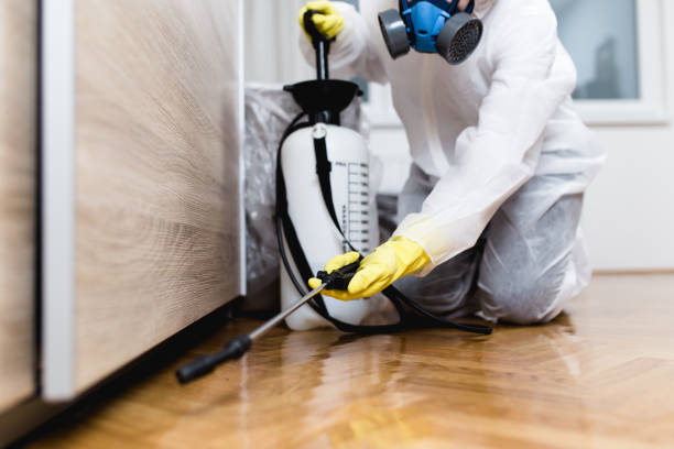 Best Wasp Removal Services  in Maywood, IL