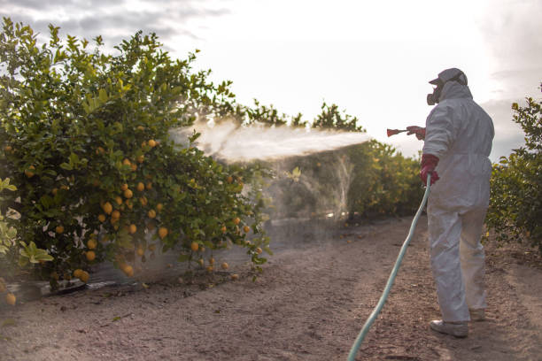 Pest Prevention Services in Maywood, IL