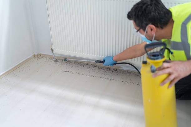 Best Pest Control Cost  in Maywood, IL