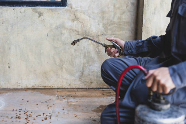 Best Emergency Pest Control  in Maywood, IL